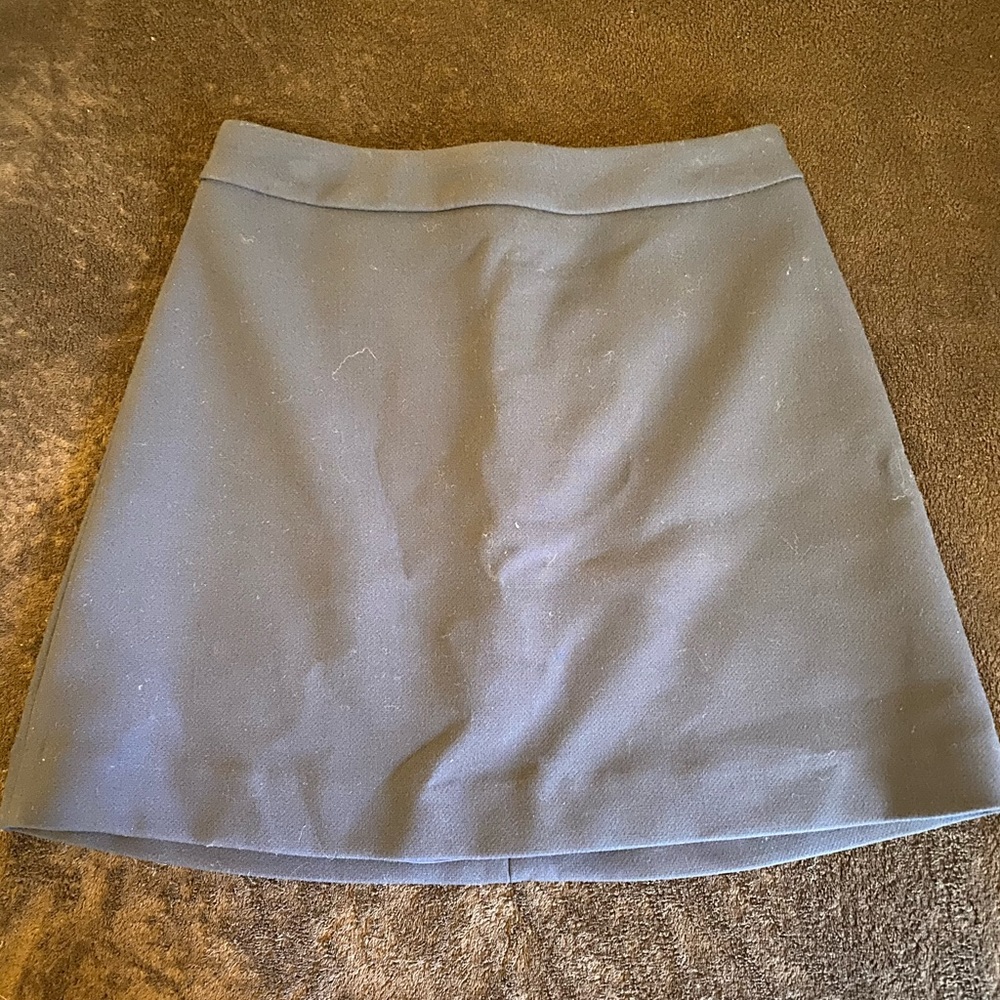 Navy Blue Skirt